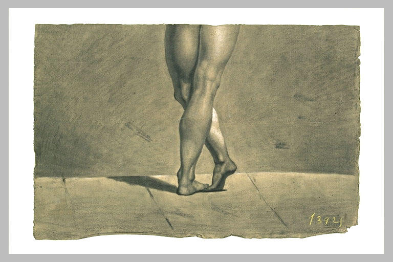 Partie inférieure d'une académie d'homme