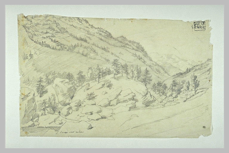 Montagnes plantées de sapins