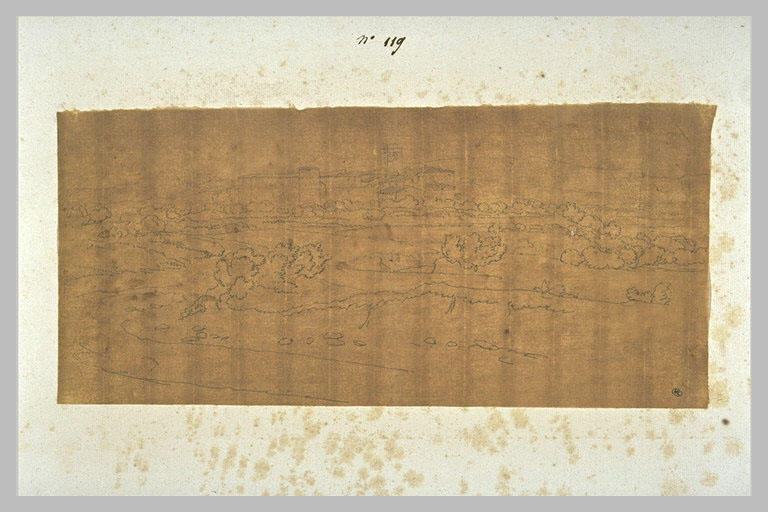 Château-fort bornant une plaine d'arbustes