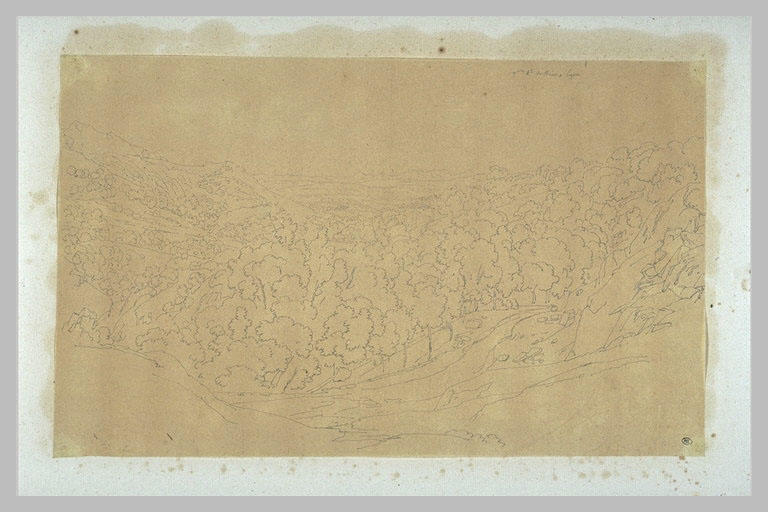 Large vallée boisée