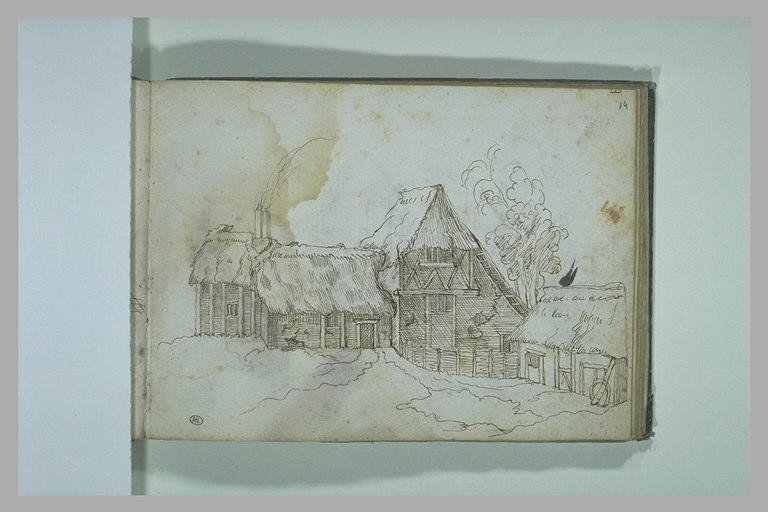 Habitations entourées d'arbres