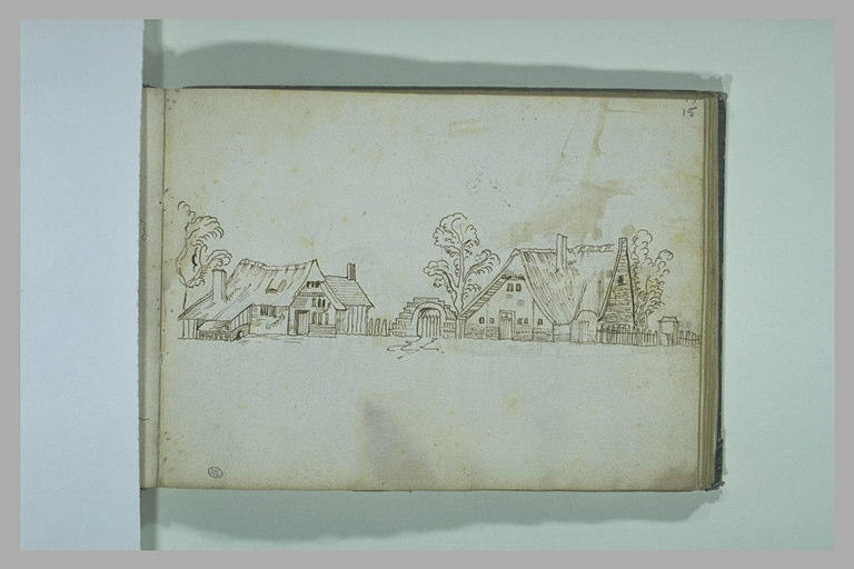 Habitations entourées d'arbres