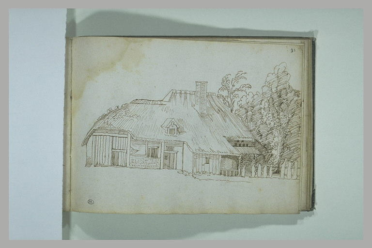 Chaumière entourée d'arbres