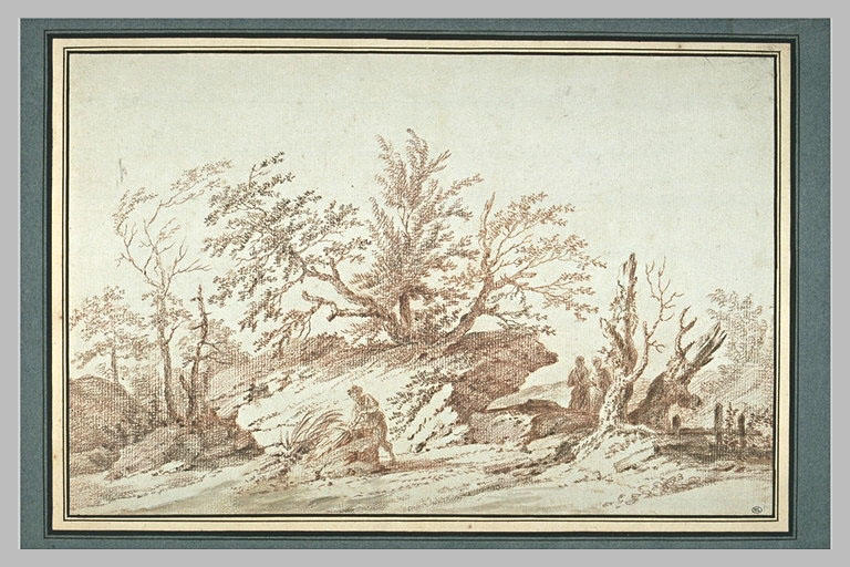 Paysage constitué par des rochers et des arbres