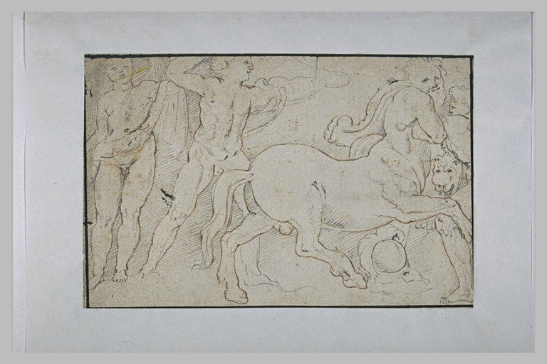 Bataille de centaures et de grecs