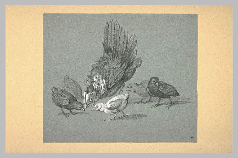 Poule picorant avec cinq poussins