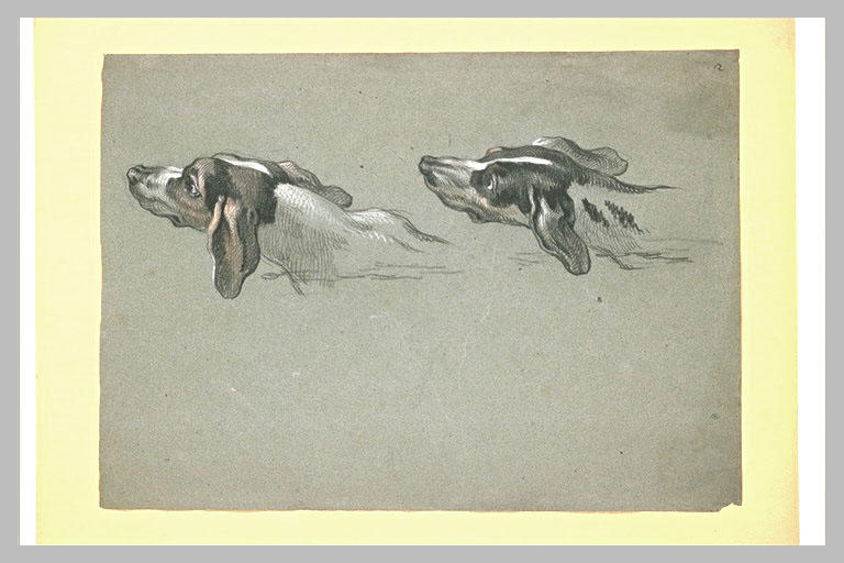 Deux têtes de lévriers, tournées vers la gauche