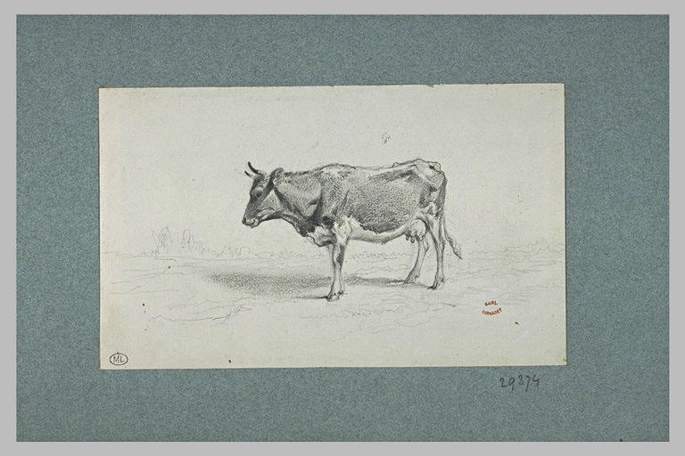 Vache tournée vers la gauche
