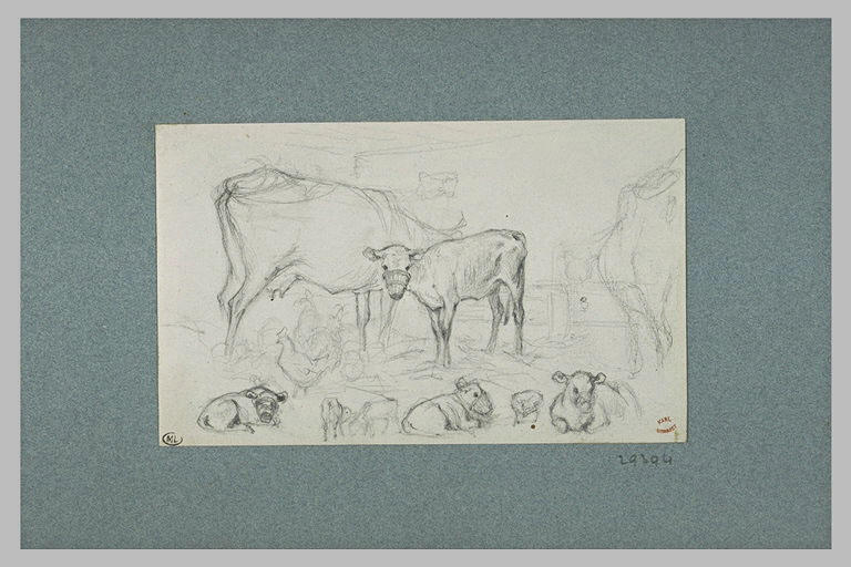 Vache avec son veau muselé ; études de veaux muselés