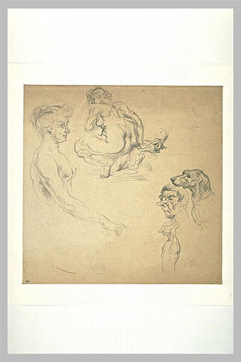 Buste de femme nue, femme nue accroupie, tête de chien, et profils
