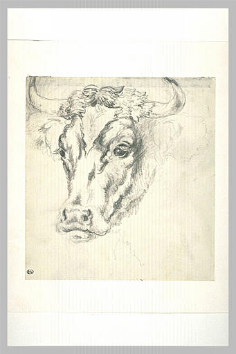 Tête de vache
