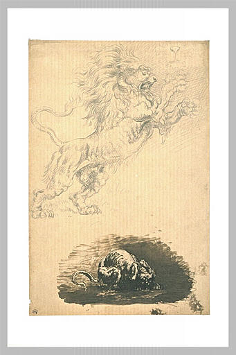 Lion en fureur, croquis de mufle, et hyène accroupie