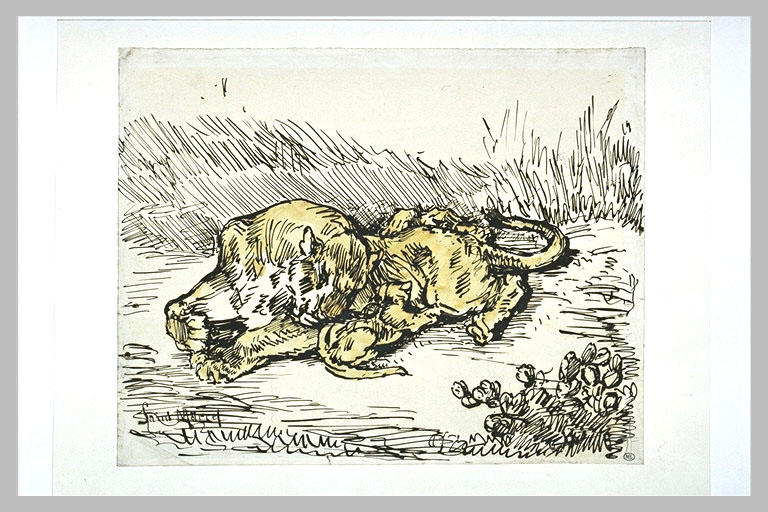 Lionne couchée, son petit à côté d'elle