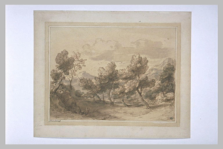 Paysage aux arbres tourmentés par le vent