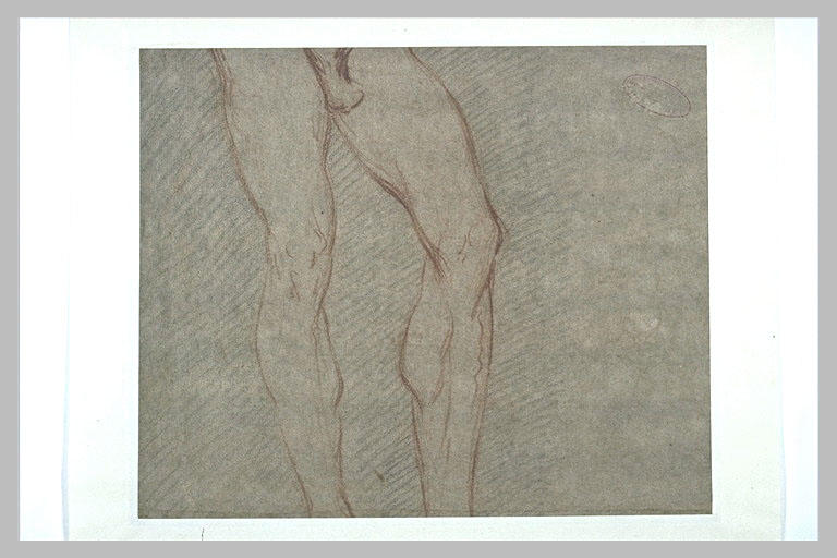 Etude d'un corps d'homme nu, de la taille aux pieds