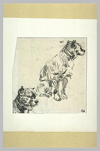 Chien assis, et tête de chien