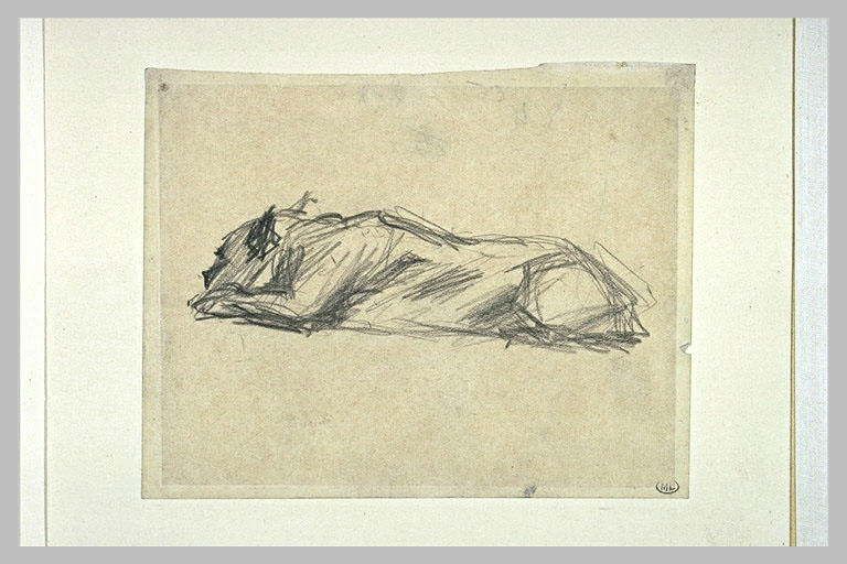 Chien couché