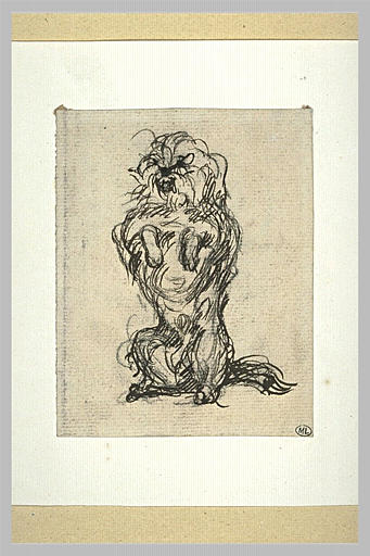 Petit chien faisant le beau