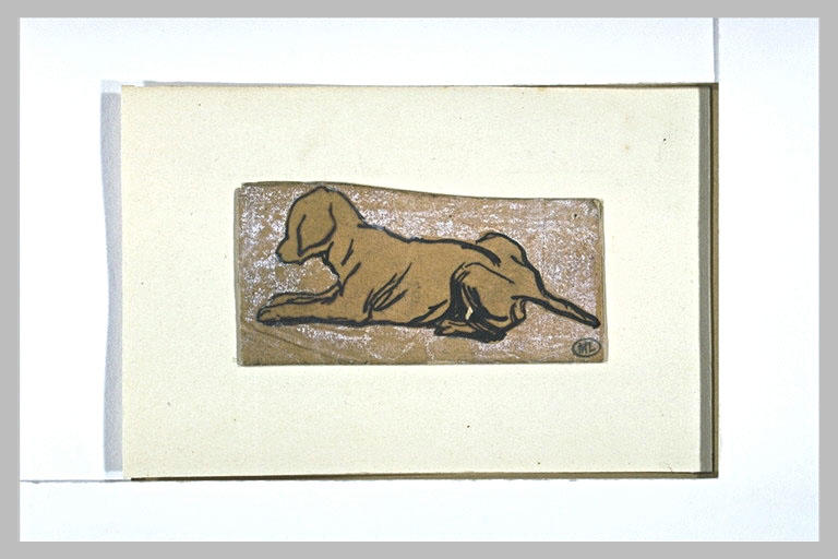Chien couché