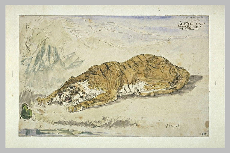 Le tigre et la grenouille