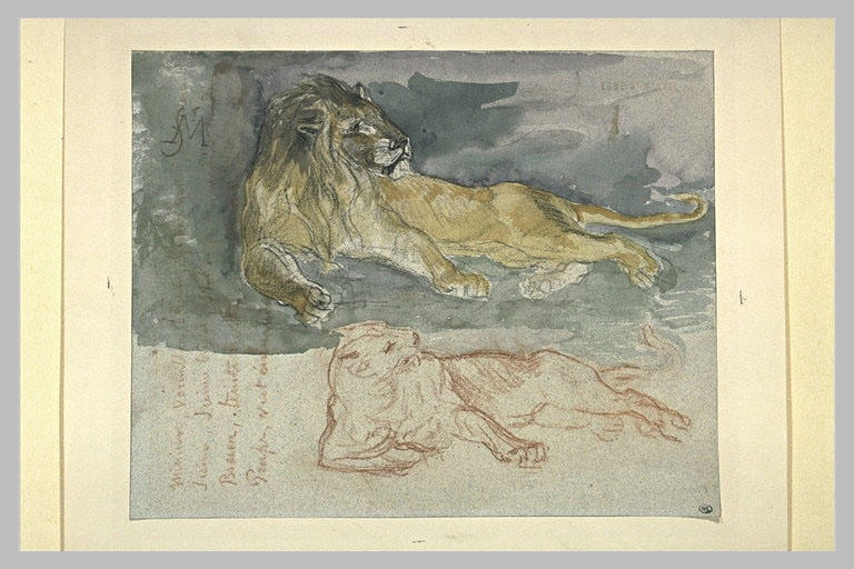 Lion et lionne