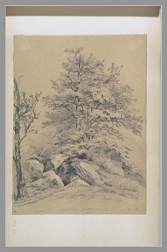 Arbres et rochers : 12 8bre 1841