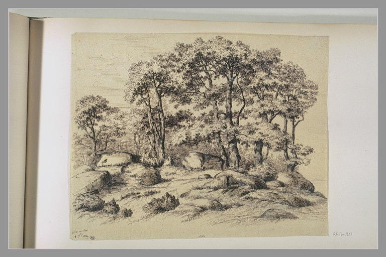 Arbres et rochers, Gorge aux loups 2 9bre 1849