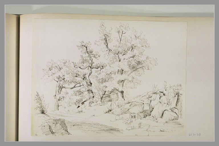 Chemin, arbres et rochers