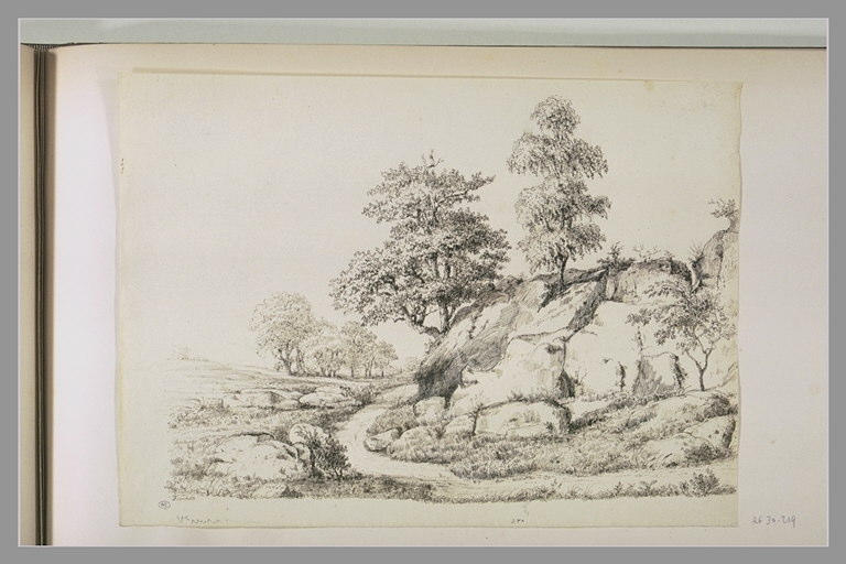 Chemin à travers arbres et rochers