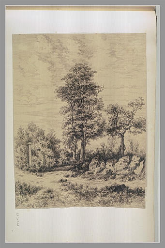 Chemin en forêt
