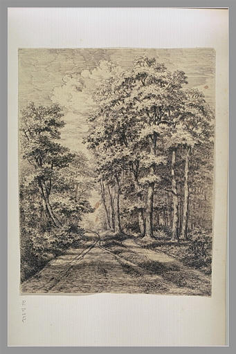 Route en forêt : Mont St Père 1849