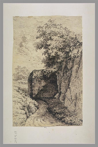 Chemin et rochers