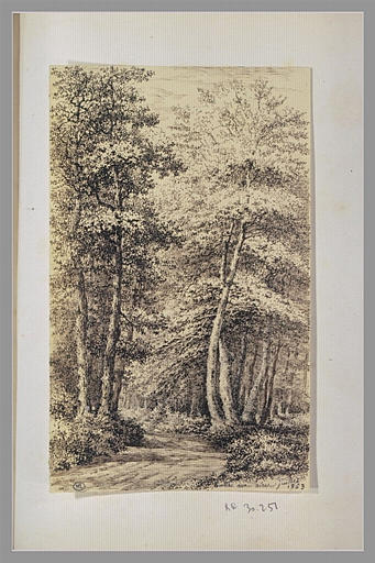 Chemin en forêt