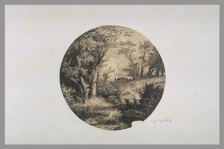 Cours d'eau dans un vallonnement