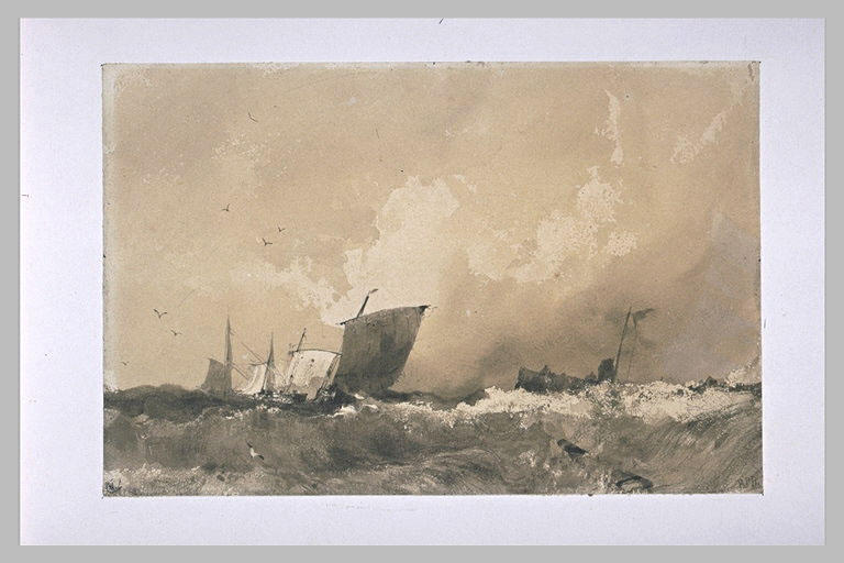 Marine