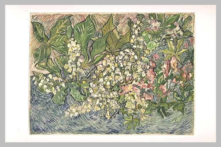 Branches de marronniers en fleurs