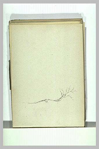 Etude d'arbre