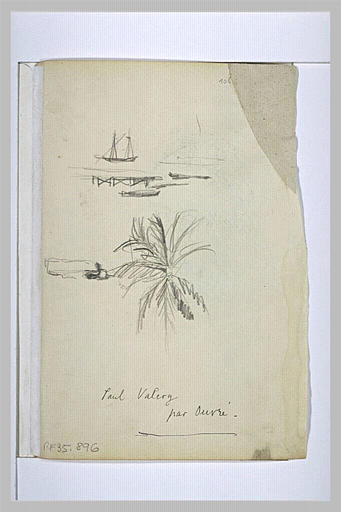 Bateaux et palmier