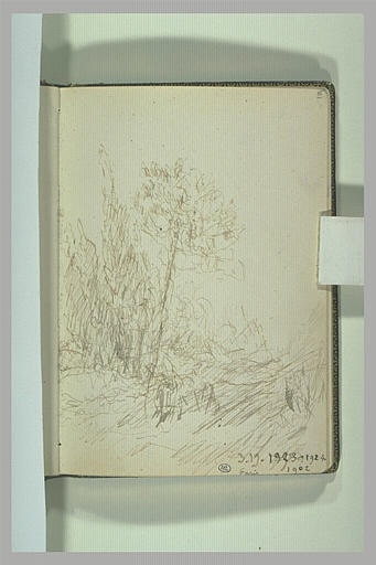 Arbre au milieu d'un paysage