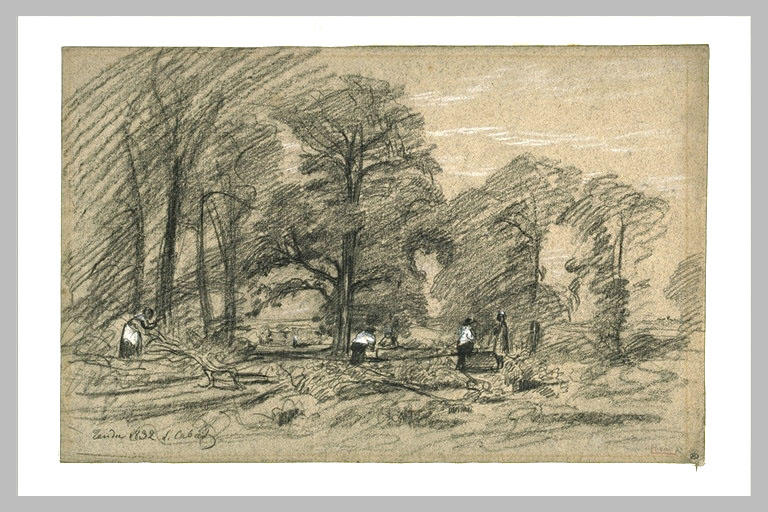La coupe des bois