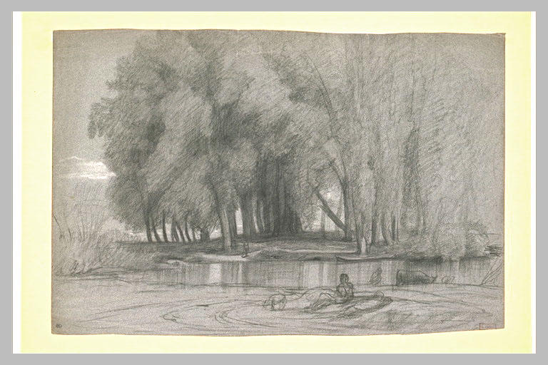 Paysage avec de grands arbres au bord d'un étang