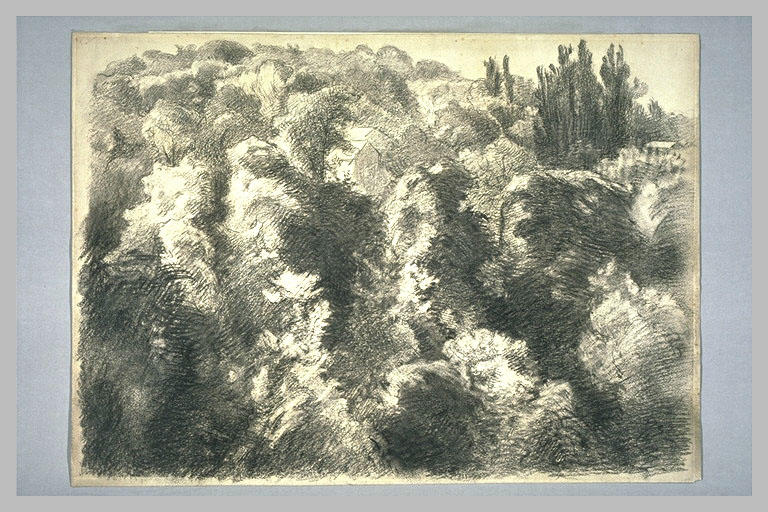 Paysage : Les Bois de Sèvres
