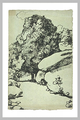 Arbres et rochers bordant un chemin