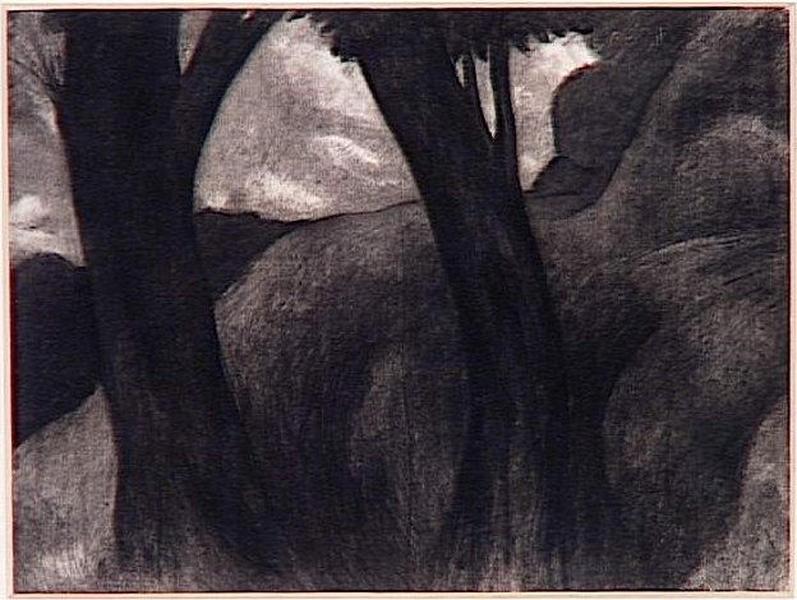 DEUX GROS ARBRES SE DETACHANT SUR UNE COLLINE