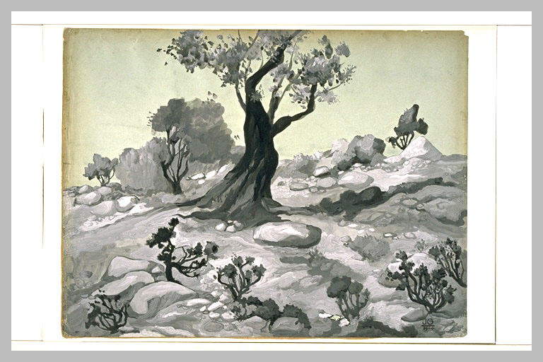 Des arbres dans un paysage caillouteux