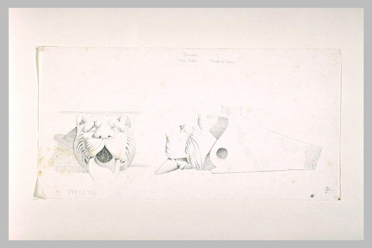 Détails d'une terre cuite zoomorphe