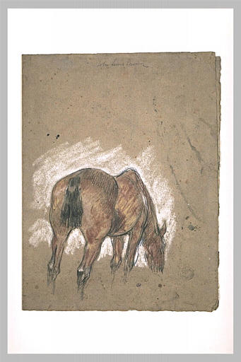Cheval broutant, de dos