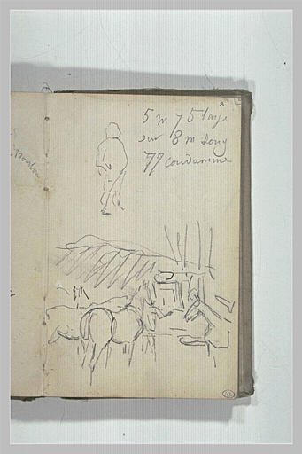 Chevaux, et figure de dos