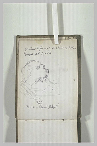 Tête de chien