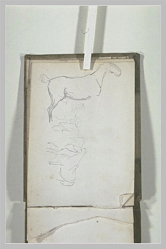 Croquis de chevaux